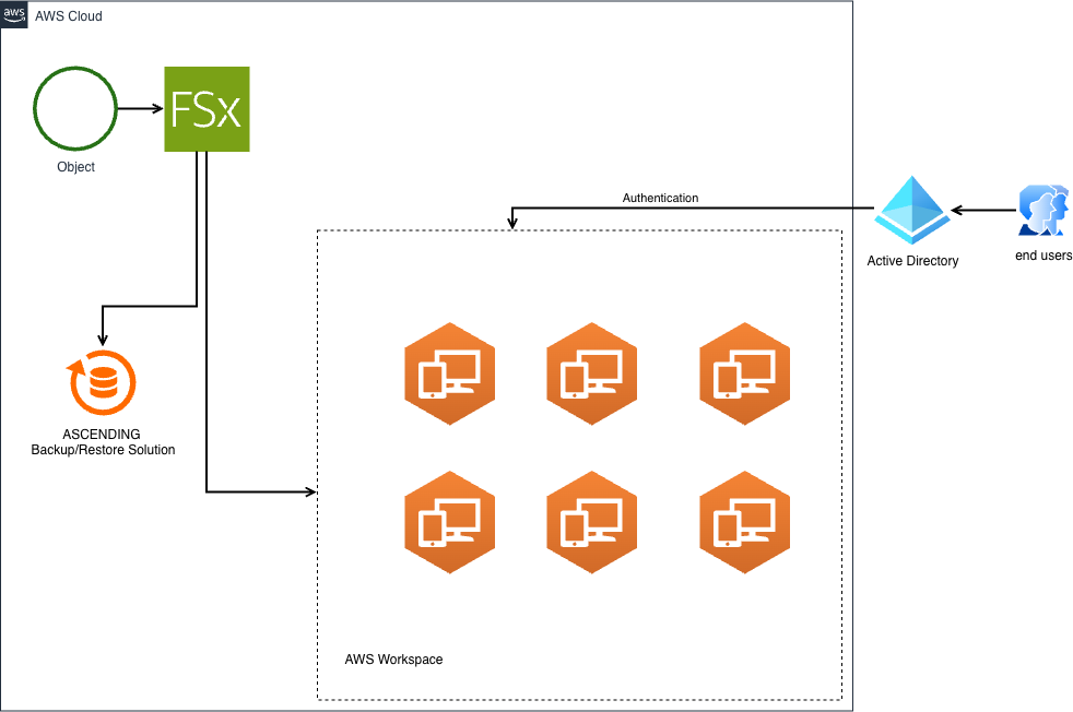 AWS WorkSpaces architecture with Amazon FSx and Active Directory integration for Vitrics Physician Group